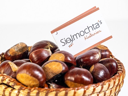 Siglmochta´s Kastanien 40